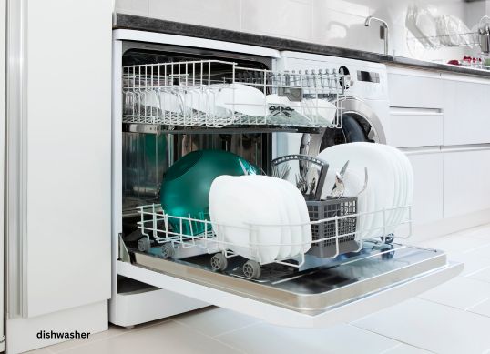 Dishwasher Repair